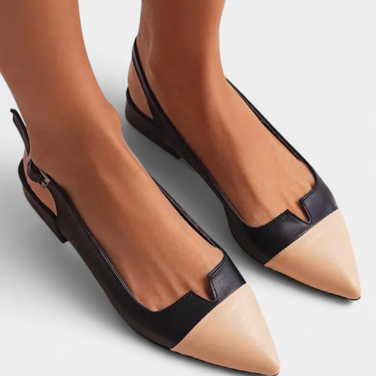 Lady Imogen Colourful Sandals with Pointed Toe and Back Strap